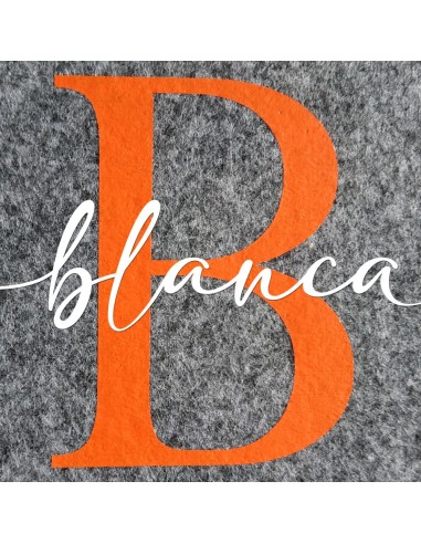 Neceser Fieltro Personalizado Eco-Friendly